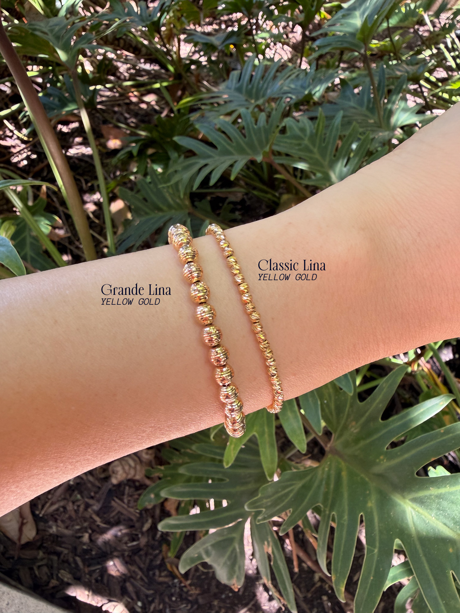 Grande Lina Bracelet: Yellow Gold, 6.5-7in