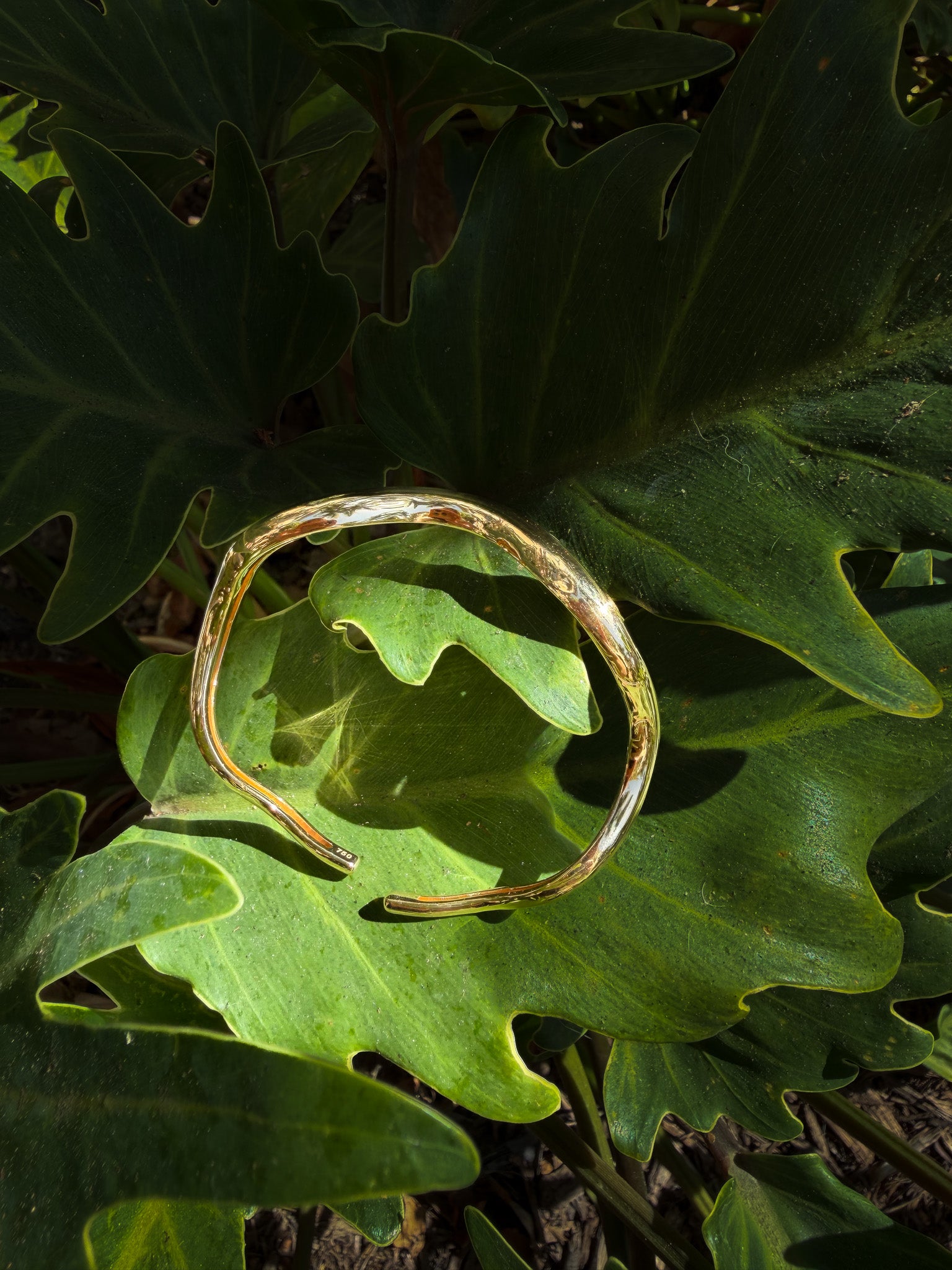 Montecito Bangle